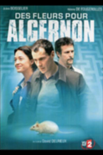 Flores para Algernon - 15 de Novembro de 2006 | Filmow