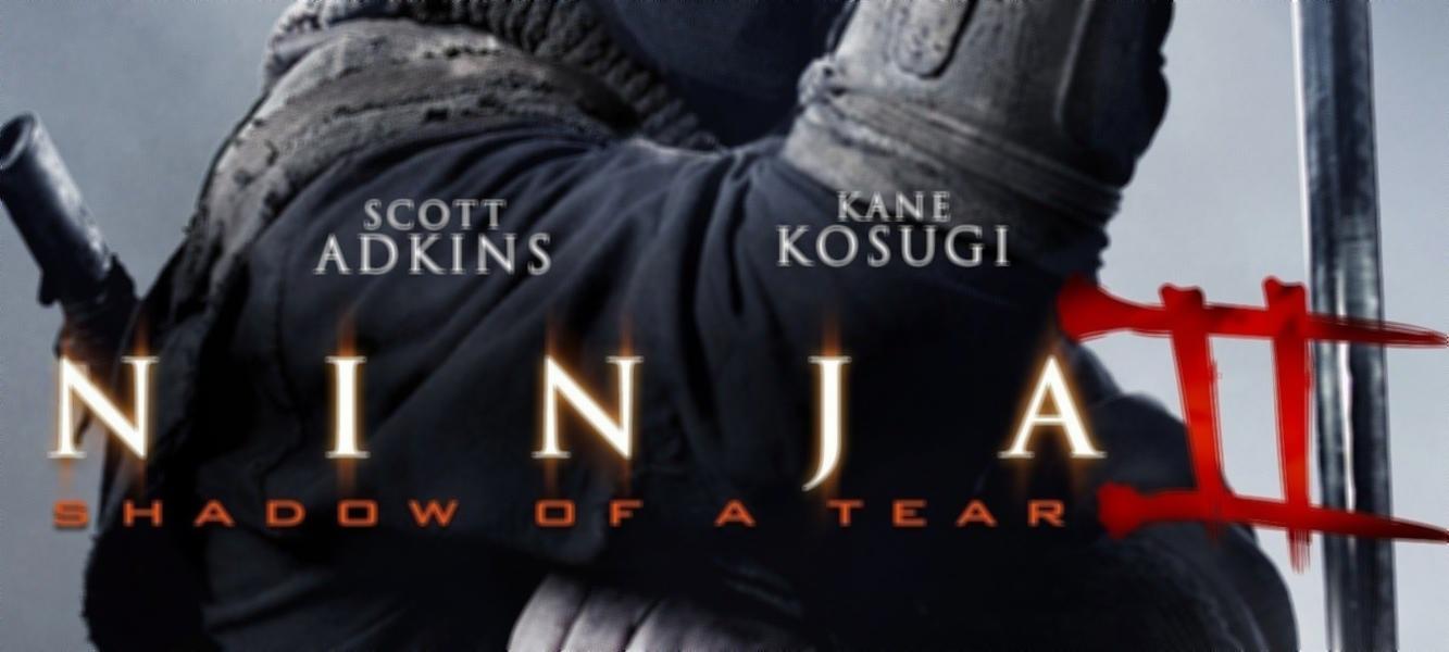 Ninja 2: A Vingança (2013) — The Movie Database (TMDB)